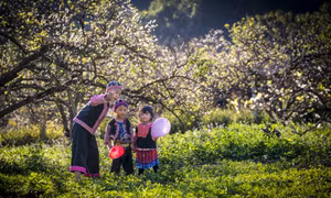 Trong veo những đứa trẻ vùng cao