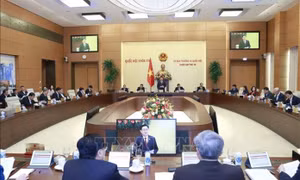 Tiếp tục chỉ định luật sư bảo vệ quyền và lợi ích hợp pháp cho người chưa thành niên