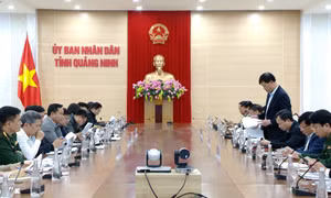 Đoàn công tác Bộ Công Thương làm việc với UBND tỉnh Quảng Ninh