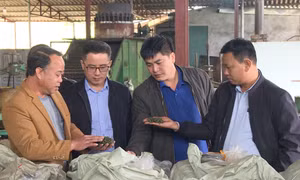 Đồng hành cùng nông dân phát triển nông nghiệp sạch