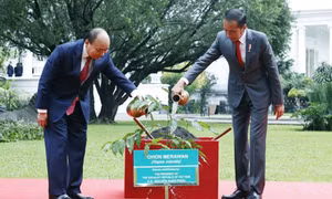 Việt Nam-Indonesia: Thắm tình hữu nghị, hướng tới tương lai