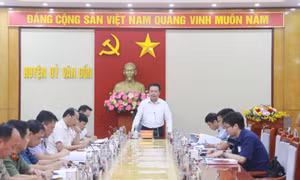 Chủ động kiểm tra, giám sát, xử lý nghiêm cán bộ, đảng viên vi phạm