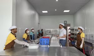 Đảm bảo an toàn bữa ăn bán trú