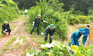 Mùa xuân thắm tình quân dân ở Tiên Yên