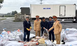 Chở hơn 3,2 tấn nội tạng, mỡ động vật, chân bò hôi thối vào Nam tiêu thụ