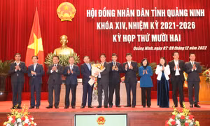 Kỳ họp thứ 12, HĐND tỉnh khóa XIV: Các Ban HĐND tỉnh báo cáo thẩm tra tờ trình