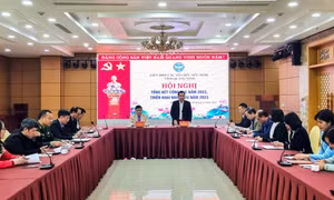 Liên hiệp các tổ chức hữu nghị tỉnh triển khai chương trình công tác năm 2023
