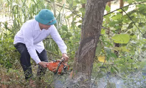 Quyết tâm hoàn thành GPMB đường tỉnh 342 trong 15 ngày