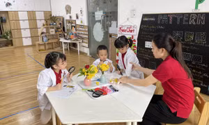 Hỗ trợ phát triển giáo dục mầm non tư thục