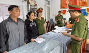 Bắt giam hai vợ chồng lừa đảo chiếm đoạt 371 tỷ đồng