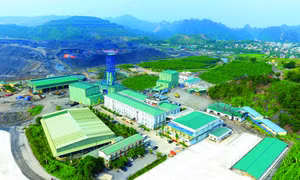 Công ty Cổ phần Than Núi Béo