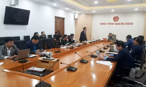 Thống nhất kế hoạch tổ chức “Tết trồng cây đời đời nhớ ơn Bác Hồ” xuân Quý Mão năm 2023