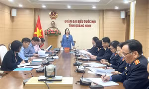 Ban Pháp chế HĐND tỉnh làm việc với Viện kiểm sát nhân dân tỉnh