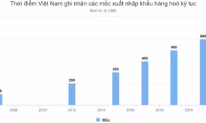 Việt Nam sẽ đạt kim ngạch xuất nhập khẩu kỷ lục 700 tỷ USD