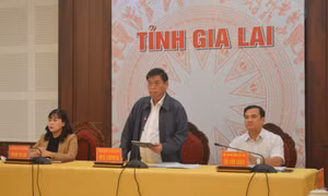 Gia Lai: Bị kỷ luật, 3 Phó Chủ tịch UBND tỉnh thôi tham gia Ban chấp hành Đảng bộ, thôi giữ chức vụ 