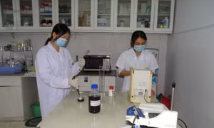 Nhà khoa học Việt nghiên cứu công nghệ diệt khuẩn từ nano vàng