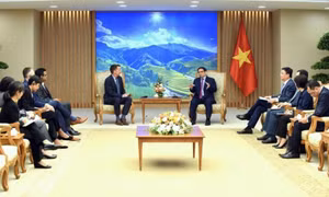 Hỗ trợ Việt Nam tham gia sâu hơn chuỗi cung ứng toàn cầu