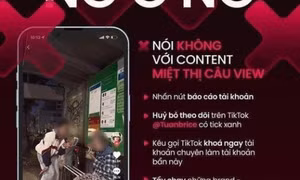 Trò bẩn để nổi tiếng sau một đêm của TikToker Việt