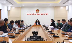 Họp bàn giải pháp thúc đẩy, thu hút thị trường khách du lịch Trung Quốc