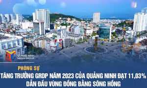 Tăng trưởng GRDP năm 2023 của Quảng Ninh đạt 11,03% dẫn đầu vùng Đồng bằng sông Hồng