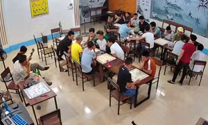 Hạ Long kỳ hữu: Nơi vun đắp niềm đam mê cờ tướng
