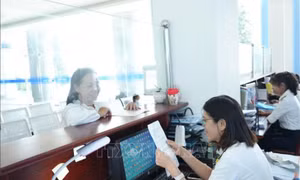 Dồn lực thu ngân sách, đẩy nhanh tiến độ hoàn thuế cho chặng 'nước rút' cuối năm