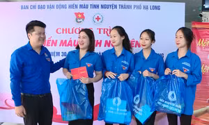 Tuổi trẻ Hạ Long hưởng ứng “Lễ hội Xuân Hồng 2024”