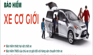Giám sát việc bồi thường bảo hiểm bắt buộc xe cơ giới