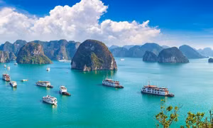 Lý do Việt Nam được chọn là điểm đến lý tưởng cho năm mới 2024