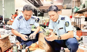 Chống hàng giả trên các sàn thương mại điện tử