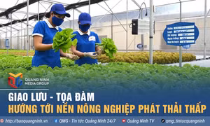 Hướng tới nền nông nghiệp phát thải thấp