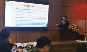 Các nhà khoa học phát hiện loài cua nước ngọt mới tại Quảng Ninh