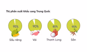 Thêm nhiều nông sản Việt rộng cửa vào Trung Quốc