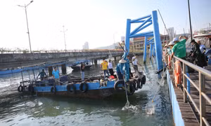 Chung tay hành động “Vì một Hạ Long xanh”