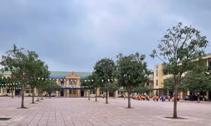 Xác minh vụ giáo viên ở Nghệ An phản ánh bị hiệu trưởng xúc phạm