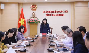 Đoàn ĐBQH tỉnh triển khai kế hoạch giám sát chuyên đề việc thực hiện Nghị quyết số 43/2022/QH15 của Quốc hội