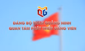 Đảng bộ than Quảng Ninh quan tâm phát triển đảng viên