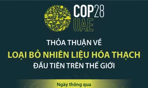 Thỏa thuận về loại bỏ nhiên liệu hóa thạch đầu tiên trên thế giới