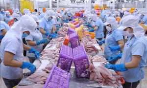 ADB dự báo tăng trưởng kinh tế Việt Nam năm 2024 ở mức 6%