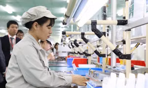 Doanh nghiệp thành lập mới tăng vọt nhưng vốn vào nền kinh tế giảm sâu, vì sao?