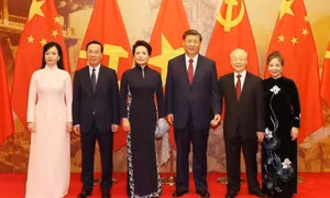 Bộ trưởng Bùi Thanh Sơn: Đã rõ bản sắc 'ngoại giao cây tre Việt Nam'