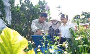Phụ nữ chung tay xây dựng nông thôn mới kiểu mẫu 
