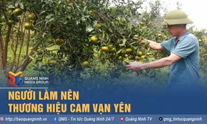 Người làm nên thương hiệu cam Vạn Yên