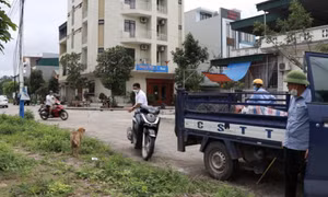  Tăng cường phòng, chống bệnh dại và quản lý động vật nuôi thả rông