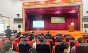 Sản xuất phân bón hữu cơ từ chất thải rắn