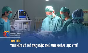 Thu hút và hỗ trợ đặc thù với nhân lực y tế