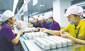 Doanh nghiệp Trung Quốc đánh giá cao môi trường đầu tư Việt Nam
