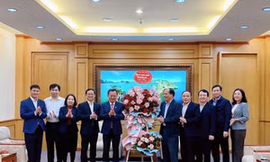 Chủ tịch UBND tỉnh thăm và động viên các đơn vị khối Tài chính