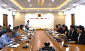 Tổng kết 2,5 năm thực hiện phi dự án cố vấn tăng trưởng xanh