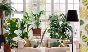 8 cách đơn giản để giảm bức xạ từ các thiết bị gia dụng